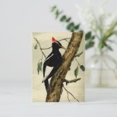 Carte Postale Pic vintage (Debout devant)