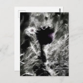 Carte Postale Pick (Devant / Derrière)