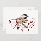 Carte Postale Pickadee (Devant / Derrière)