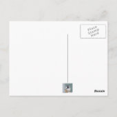 Carte Postale Pickadee (Dos)