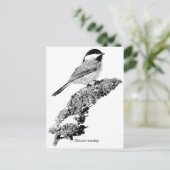 Carte Postale Pickadee (Debout devant)