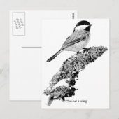 Carte Postale Pickadee (Devant / Derrière)