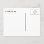 Carte Postale Picker Cactus Big Bend (Dos)