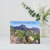 Carte Postale Picker Cactus Big Bend (Debout devant)