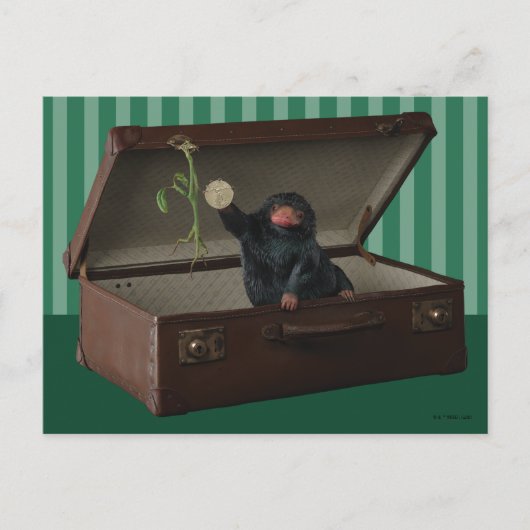 Carte Postale Pickett & Teddy dans la mallette (Devant)