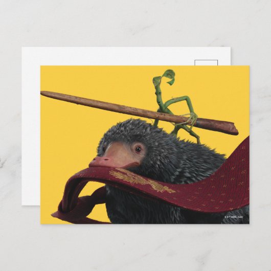 Carte Postale Pickett & Teddy With Wand and Tie (Devant / Derrière)