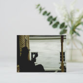 Carte Postale Pickin du dos (Debout devant)