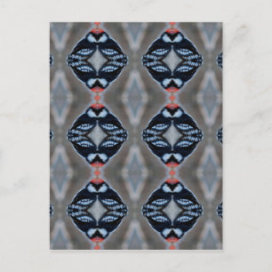 Carte Postale Picoreur de bois mâle à motif