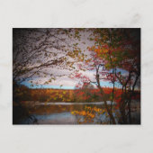 Carte Postale pics nature (Devant)