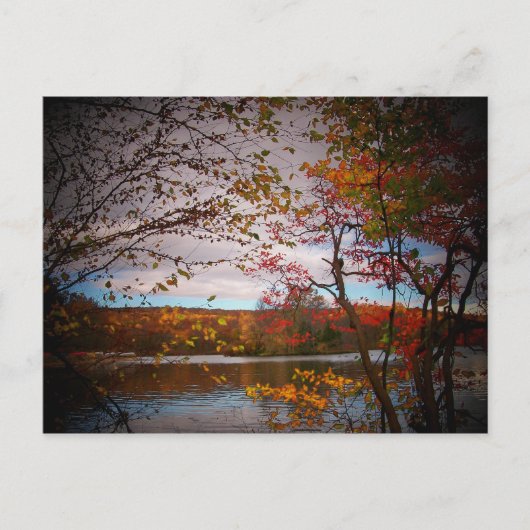 Carte Postale pics nature (Devant)