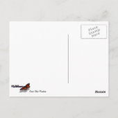 Carte Postale Pics neigeux du Grand Teton (Dos)