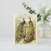 Carte Postale Pics vintages (Debout devant)