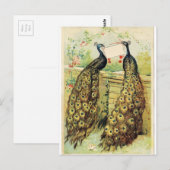 Carte Postale Pics vintages (Devant / Derrière)