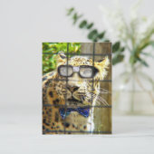 Carte Postale Pidasol sauvage (Debout devant)