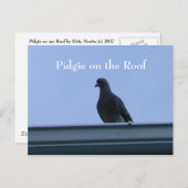 Carte Postale Pidgie sur le toit (Devant / Derrière)