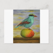 Carte Postale Pie Sur Un Mango (Devant)