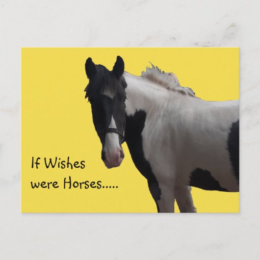 Carte Postale Piebald Paint Pony souhaite une photo jaune (Devant)