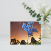 Carte Postale Pièce créative (Debout devant)