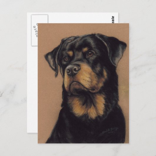 Carte postale Pièce originale Rottweiler (Devant / Derrière)