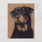 Carte postale Pièce originale Rottweiler (Devant)