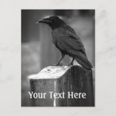 Carte Postale Pièce Trouvée (Devant)