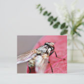 Carte Postale Pièce volante (Debout devant)