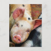 CARTE POSTALE PIÈCES (Devant)