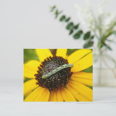 Carte Postale Pièces de coordination de chenille de Carlin commu (Debout devant)