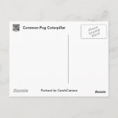 Carte Postale Pièces de coordination de chenille de Carlin commu (Dos)