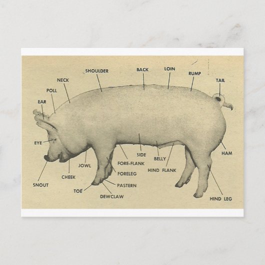 Carte Postale pièces de porc (Devant)