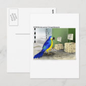 Carte Postale Pièces de salle de bain pour perroquets Drôle Dons (Devant / Derrière)