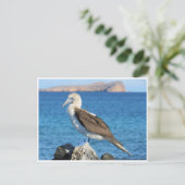 Carte Postale pied bleu (Debout devant)