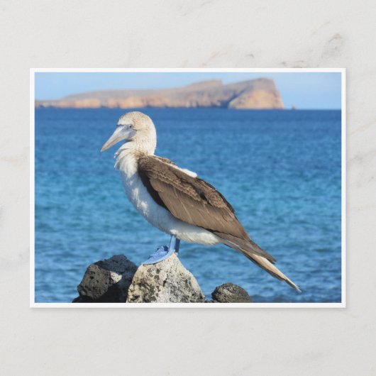 Carte Postale pied bleu (Devant)