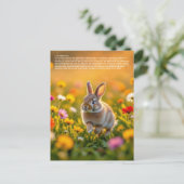 Carte Postale Pied de lapin chanceux (Debout devant)