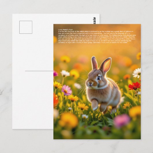 Carte Postale Pied de lapin chanceux (Devant / Derrière)