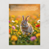 Carte Postale Pied de lapin chanceux (Devant)
