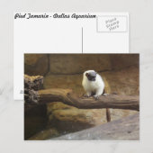 Carte Postale Pied Tamarin # 2 (Devant / Derrière)