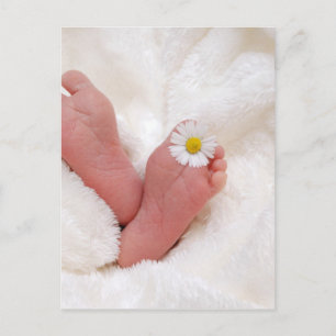 Carte Postale pieds bébé orteils mignonette nouveau-né minuscule
