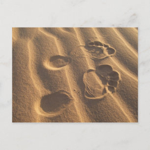 CARTE POSTALE PIEDS DE SABLE