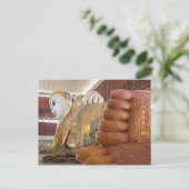 Carte Postale Pieds de statue de Bouddha (Debout devant)
