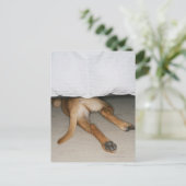 Carte Postale Pieds et queue de chien de laboratoire jaune caché (Debout devant)