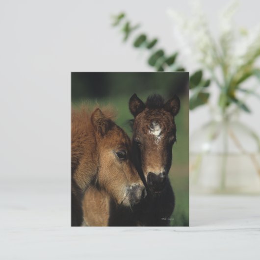 Carte Postale Pieds miniatures 2 (Debout devant)