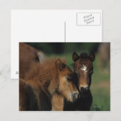 Carte Postale Pieds miniatures 2 (Devant / Derrière)