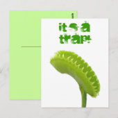 Carte Postale Piège de mouche de Vénus (Devant / Derrière)