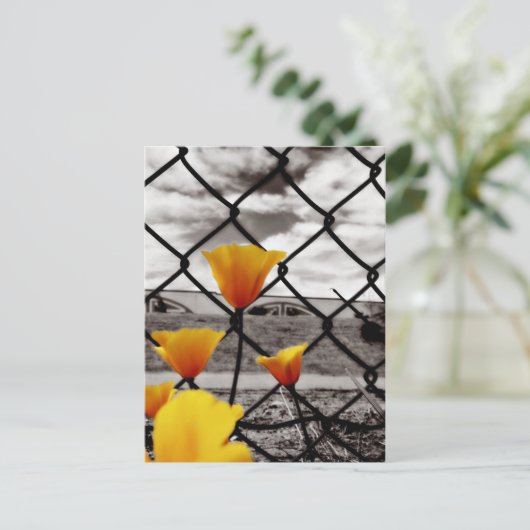 Carte Postale Piégé derrière des clôtures et sous des cieux spec (Debout devant)