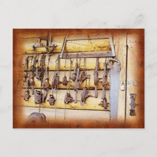 Carte Postale Pièges d'animal en Alaska (Devant)