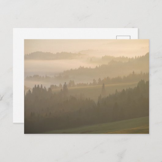 Carte Postale Pieniny brouillard (Devant / Derrière)