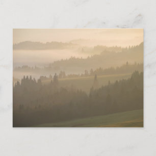 Carte Postale Pieniny brouillard