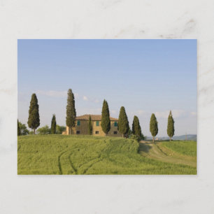 Carte Postale Pienza, Val d'Orcia, province de Sienne, Toscane,