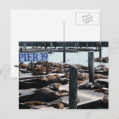 Carte Postale Pier 39 Sea Lions (Devant / Derrière)